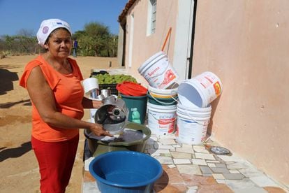 Mulher lava a louça em Pernambuco.
