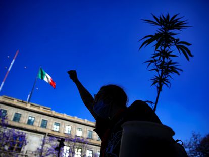 Ativista a favor da legalização da maconha na Cidade do México.