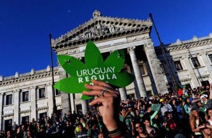 Simpatizantes da legalização da maconha no Uruguai.
