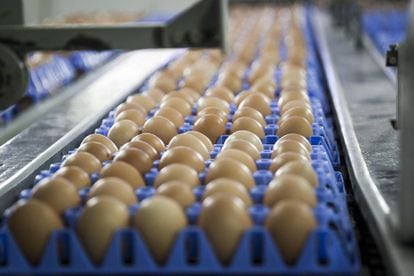 Um ovo grande contém 185 mg de colesterol.