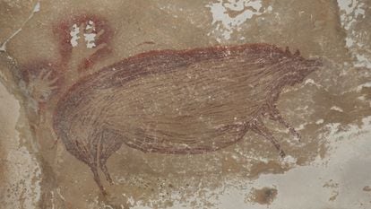 A pintura rupestre de Leang Tedongnge (Indonésia) que mostra o desenho de um javali da espécie ‘Sus celebensis’, pintado há pelo menos 45.500 anos.