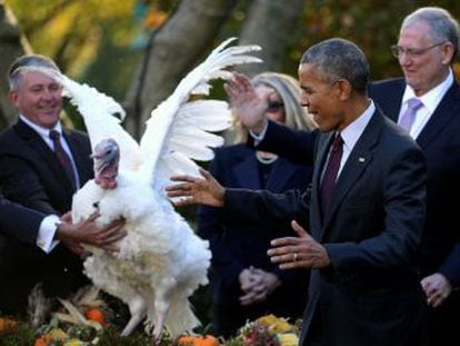 O presidente dos Estados Unidos indulta ‘Tater’ e ‘Tot’ em seu último Dia de Ação de Graças à frente do Governo