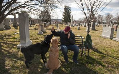 Um homem passeia com seus cachorros no Cemitério do Congresso.