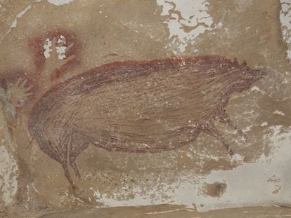 A pintura rupestre de Leang Tedongnge (Indonésia) que mostra o desenho de um javali da espécie ‘Sus celebensis’, pintado há pelo menos 45.500 anos.