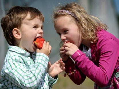 Se seus filhos comem frutas não é mera questão de sorte