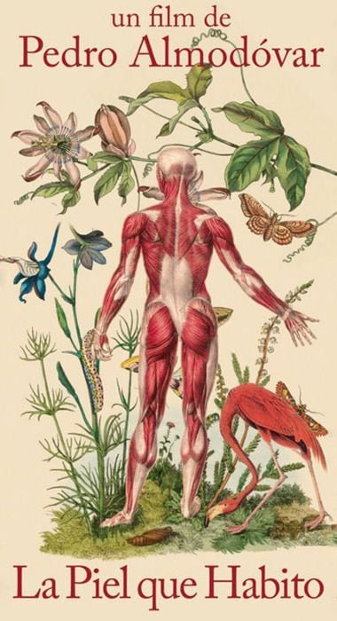 Cartaz promocional de ‘A pele que habito’ (2011), desenhado por Juan Gatti e parte de sua série ‘Ciências Naturais’.