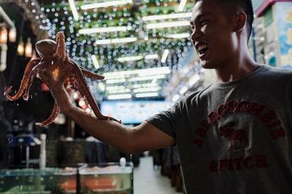 Um vendedor de pescado segura um polvo vivo nas mãos para oferecer às pessoas passam por sua loja na praia de Dapeng Jiaochangwei.