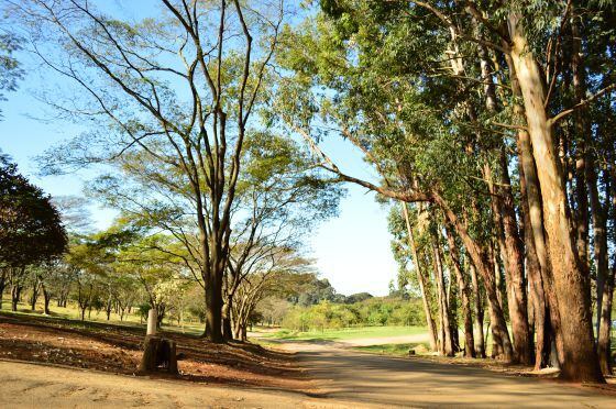 O cemitério municipal de Vila Formosa, que acaba de inaugurar uma trilha ecológica.