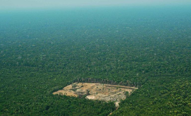 Imagem de setembro de 2017 de região desmatada na região da Amazônia brasileira.