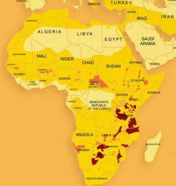 Em amarelo, o território que o leão africano ocupava historicamente. Em laranja, a zona que ocupa atualmente. Já em marrom onde estão mais concentrados (zonas com mais de 500 adultos).