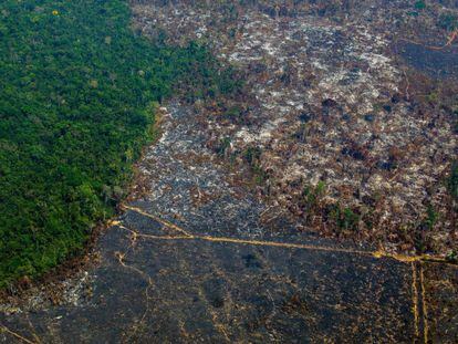 Uma zona da Amazonia deforestada em uma vista aérea tomada em agosto passado na reserva biológica de Altamira.