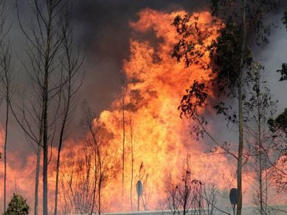 Incêndio em Portugal mata ao menos 63 pessoas e fere outras 54
