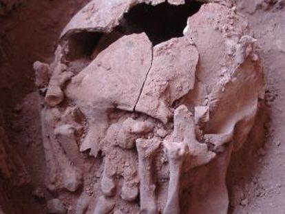 Os restos do decapitado encontrados na tumba de Lapa do Santo.