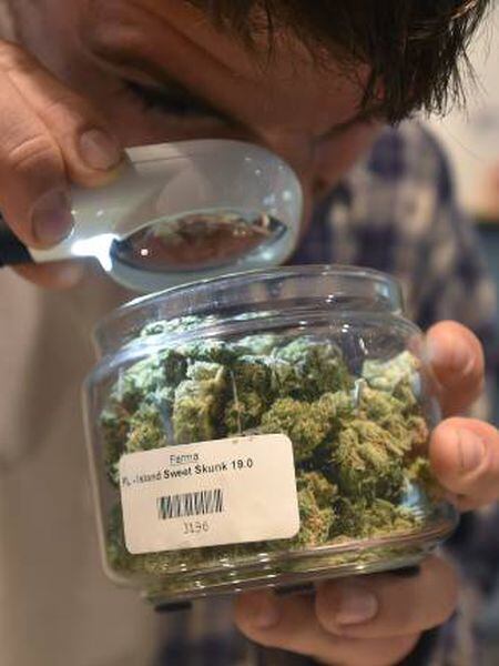 Um homem examina a maconha numa loja do produto, em Portland, Oregon.
