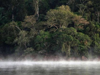Imagem de um território da floresta amazônica no Pará