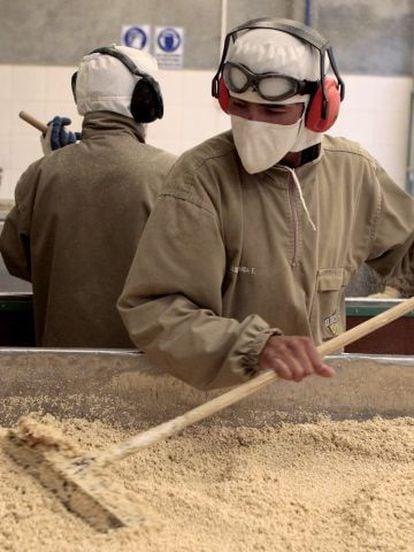 Secagem de quinoa em uma fábrica de El Alto (Bolívia)