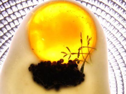 Creme de couve-flor ácido, caviar ecológico e gema de ovo curada: um dos pratos de Diego Gallegos.