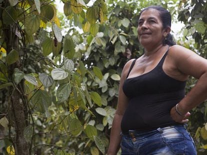 Doris Ramos e sua família cultivaram coca durante muito tempo no município de Tumaco.