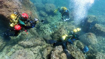 Um grupo de arqueólogos subaquáticos da Universidade de Alicantena área onde foram encontradas as moedas de ouro.