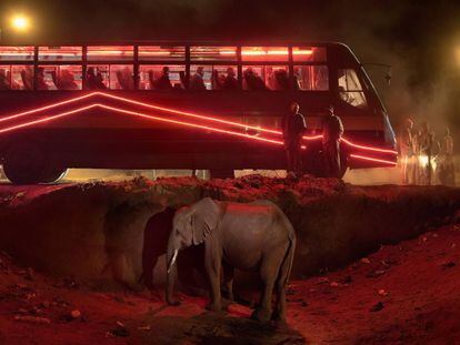Ônibus station with elephant and rede ônibus ( Estação de ônibus com elefante e ônibus vermelho), 2018