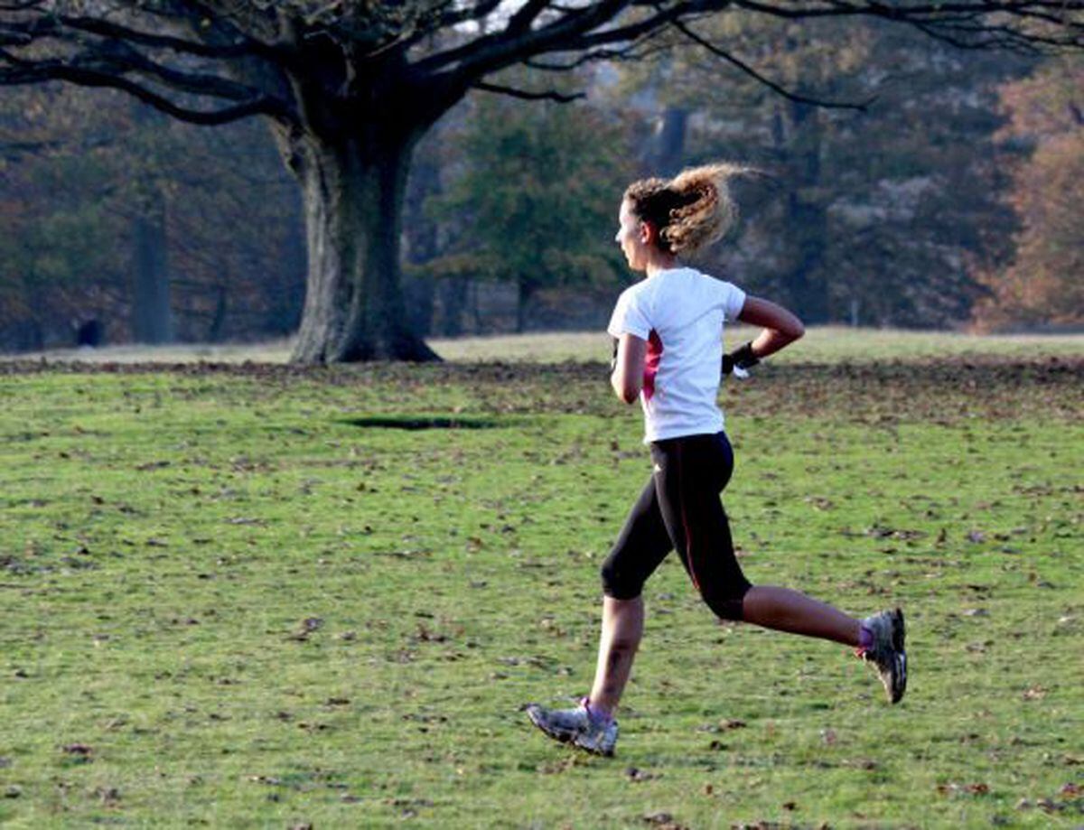 Running again. He Runs in the Park. She Runs fast. It Run in the Park.