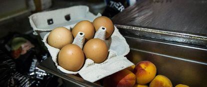 Caixa de ovos em um supermercado da França