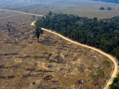 Vista aérea de áreas queimadas da floresta amazônica, no Brasil.