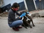 Tatiana Aguayo, 35, animal rights activist, cuddles a stray dog while wearing a face mask, amid the coronavirus disease (COVID-19) outbreak in Bogota, Colombia April 4, 2020. Picture taken April 4, 2020. REUTERS/Luisa Gonzalez