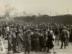 Chegada de judeus a Auschwitz.