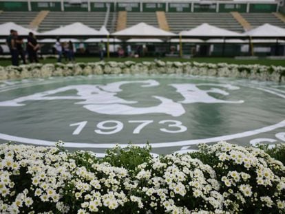 Homenagem montada para o funeral dos jogadores e dirigentes da Chapecoense mortos na Col&ocirc;mbia.