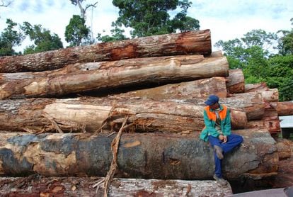 Desmatamento na Amazônia.