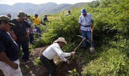Moradores de Guerrero procuram covas.