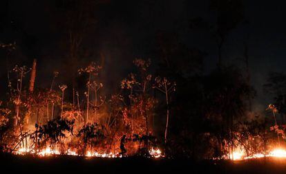 A Amazônia brasileira perdeu em agosto 1.698 quilômetros quadrados de sua cobertura vegetal por conta das queimadas.