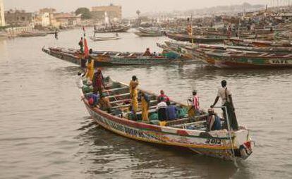 Pirogas no rio Senegal, em Saint Louis.