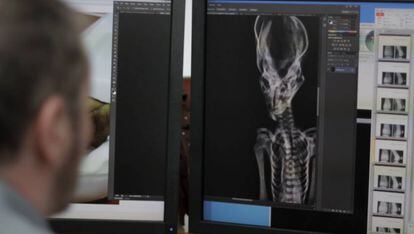 Durante a produção do documentário ‘Sirius’, do ufólogo norte-americano Steven Greer, foram feitos vários exames na múmia, inclusive radiografias