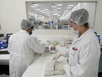 Employees at the Hermes Pardini laboratory work on the coronavirus disease (COVID-19) testing with PCR amplification, in Vespasiano, near Belo Horizonte, Brazil, July 23, 2020. Picture taken July 23, 2020. REUTERS/Washington Alves