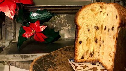 Panetone para principiantes
