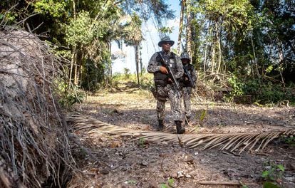 Agentes da Força Nacional buscam as pessoas que derrubam árvores numa área protegida da Amazônia.