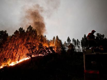 A luta contra as chamas dos bombeiros próximo a Coimbra, em Portugal.