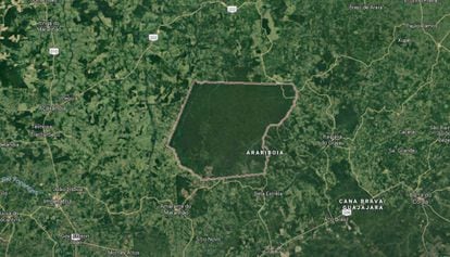 Imagem aérea da Terra Indígena Arariboia, na Amazônia brasileira. Essa floresta, lar da tribo Awá, é uma ilha verde no meio de um mar de desmatamento.